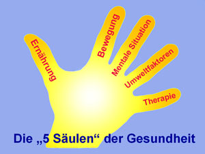 Die 5 Sulen der Gesundheit