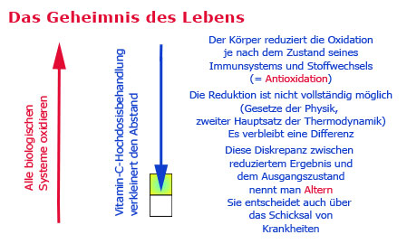 Vitamin C Hochdosistherapie